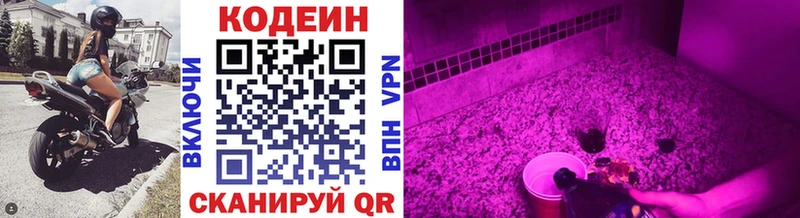 Codein Purple Drank  Купить где  Балабаново 
