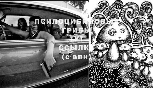 тгк Киренск