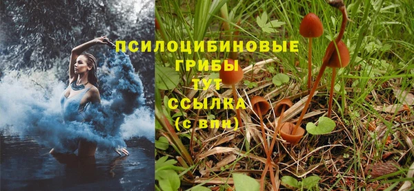 гашик Кинешма
