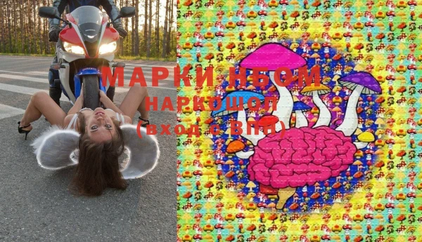 гашик Кинешма