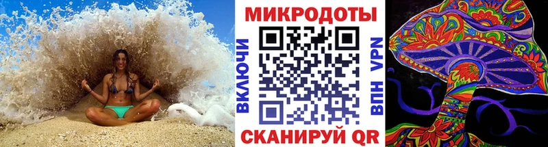 Купить  Балабаново  Галлюциногенные грибы Psilocybe 